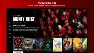 Netflix Crack (Premium Unlocked)